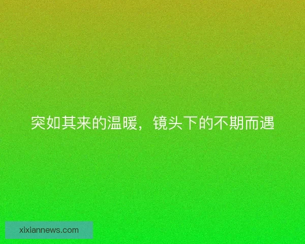 突如其来的温暖,镜头下的不期而遇 突如其来的温暖,镜头下的不期而遇
